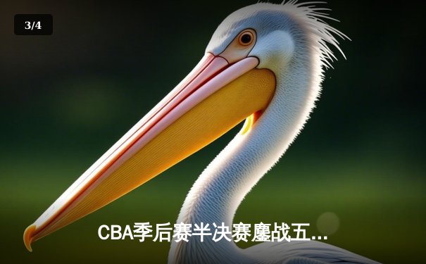 CBA季后赛半决赛鏖战五场 辽宁本钢3-2险胜广东东莞银行晋级总决赛 - 3